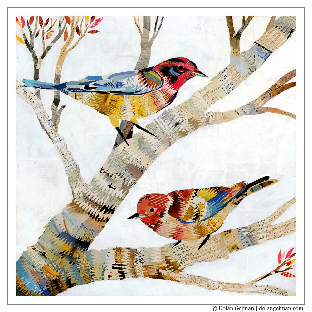 Colorful Birds in Tree Branches, The Warblers, Giclee Art, 16x16 Print on Paper