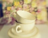 Fine Art Photography Floral Cups and Saucers 8x8 Print Modern Wall Decor Home Decor