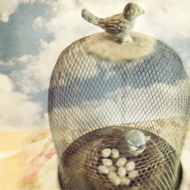 Fine Art Photography Whimsical Cloud and Birdcage 8x8 Print Modern Wall Decor Home Decor