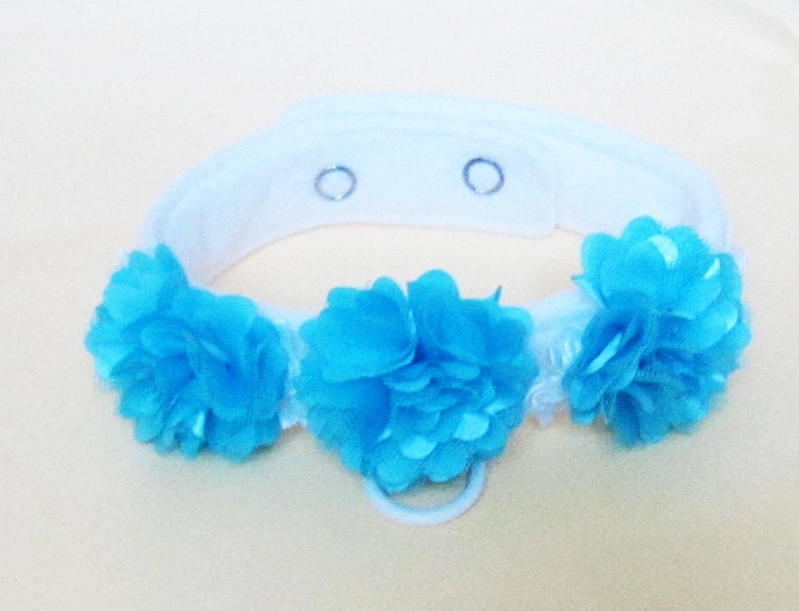 Wedding Dog Flower Collar in Pink or Plum or Turquoise Dog Collars