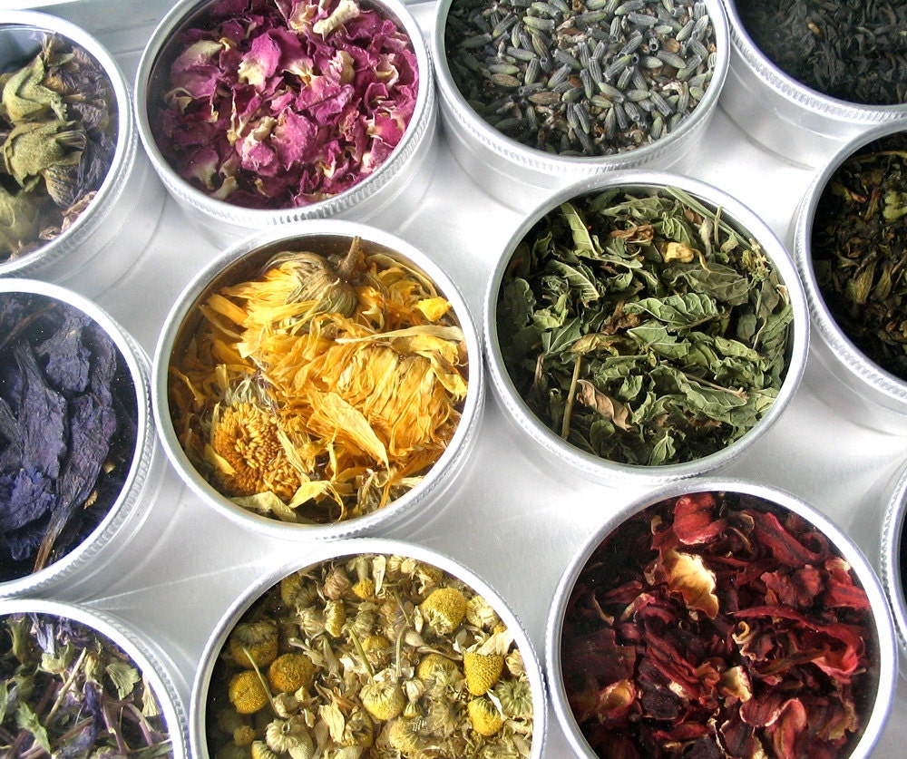 green herbal tea kit in a brushed aluminum box - set of 15 - free ship - a beautiful gift for a tea lover.