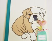 Boris the English Bulldog Congratulations Felt Pink Flower Blank Note Card with Envelope
