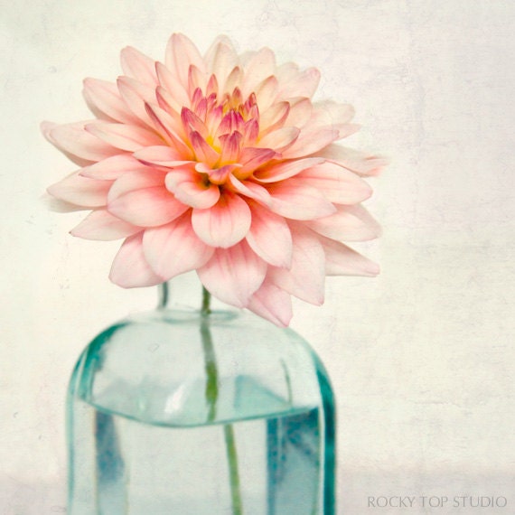 Flower Photography, Botanical Print, Fine Art Photograph, Spring Flower Photo, Botanical Wall Art, Shabby Chic Decor, "Pink Dahlia"