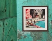 Dog Days of Summer Archival print of an original collage