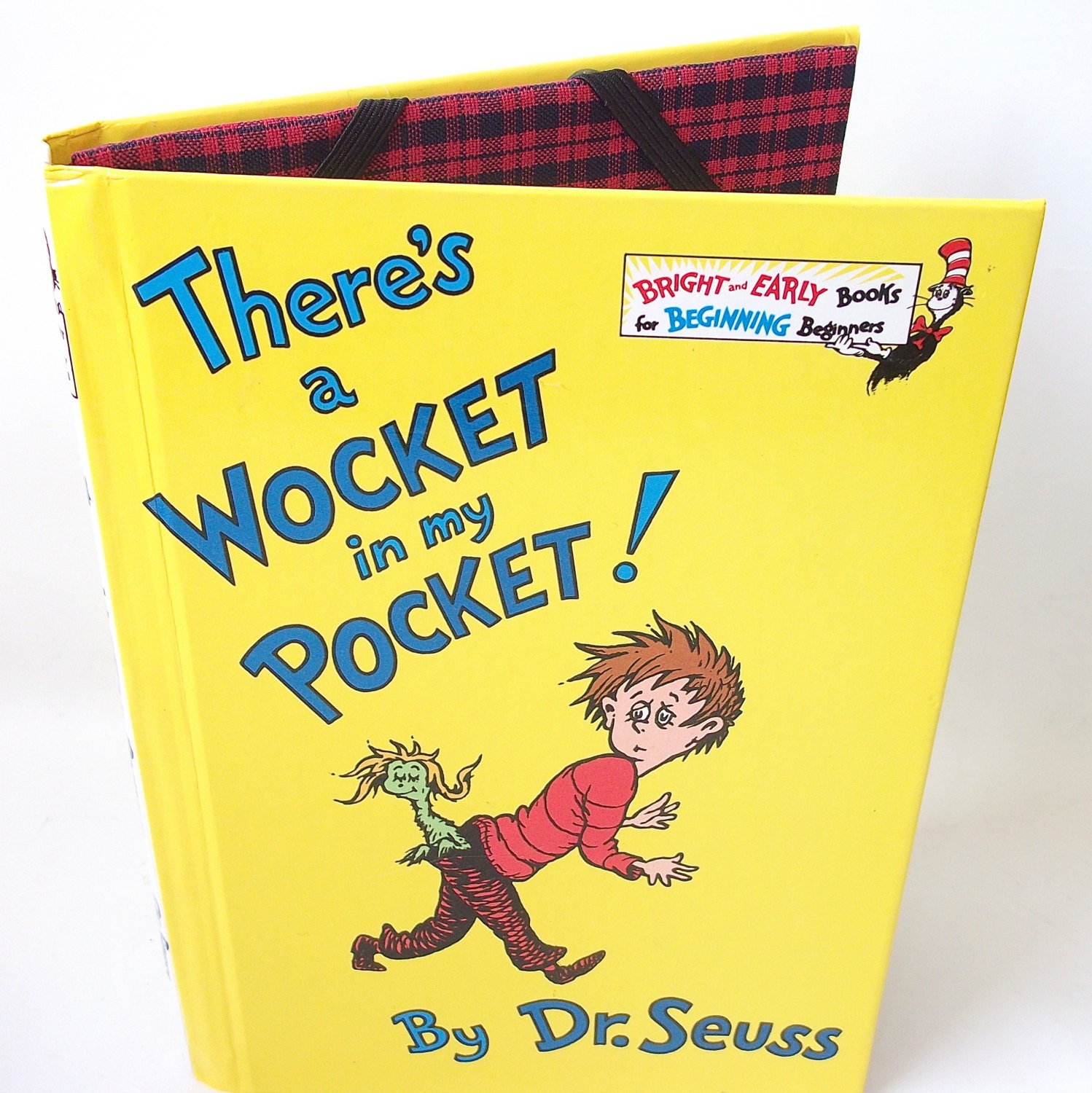 IPad Mini Cover, Kindle Case, Kobo cover, Nook Case Dr. Seuss Wocket in My Pocket Book Cover