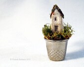 Fairy Thimble - The perfect place for the tiniest faerie folk