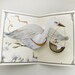 Special Delivery Bird Baby Pop Up Card