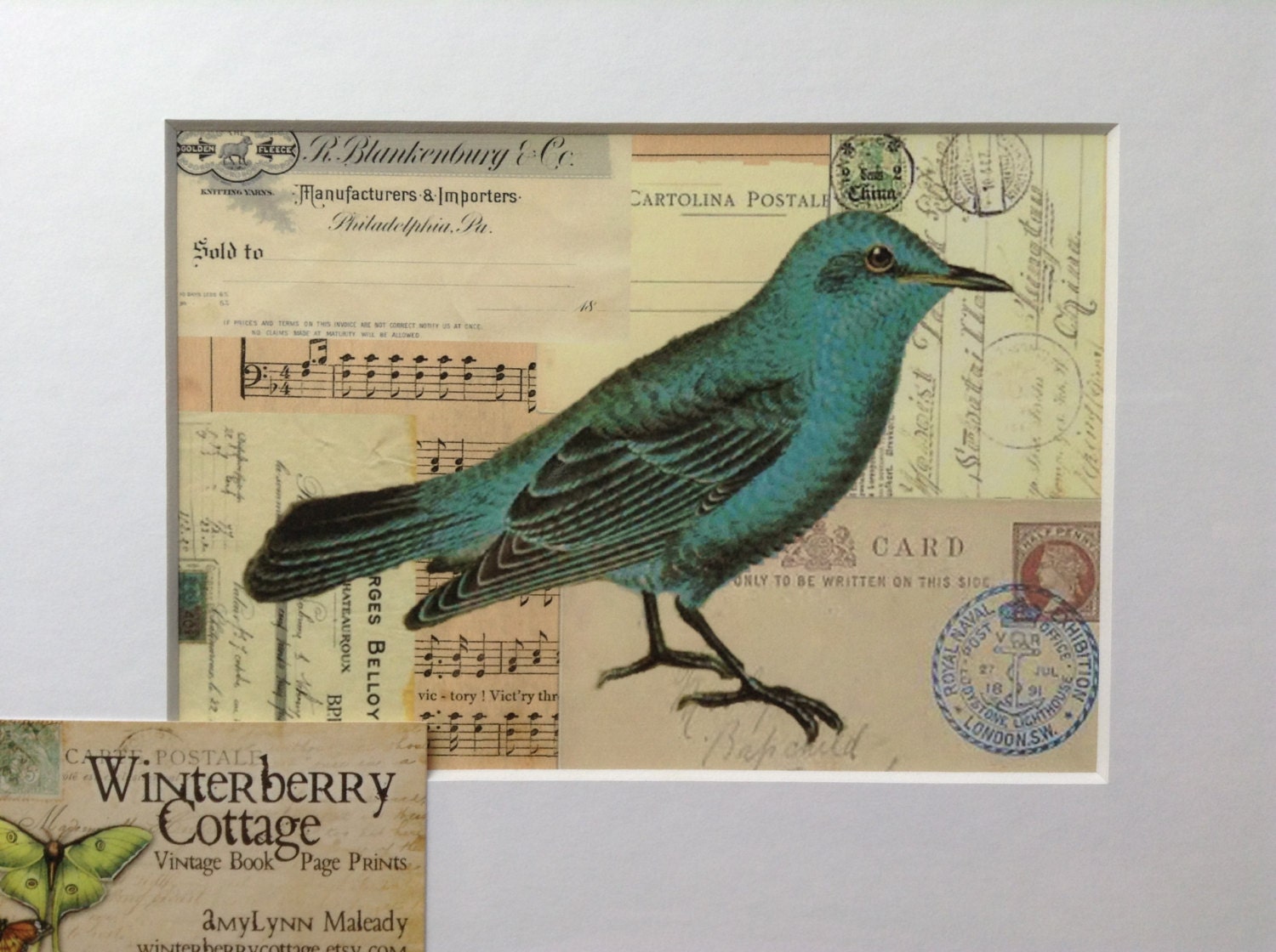 Bird, Print, Vintage Postcards,  Advertisment