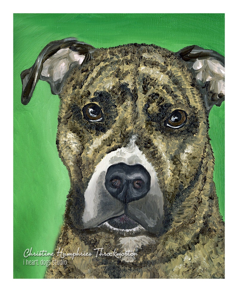 Pit Bull (brindle) print