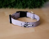 3/4" Wide - POISON print - Dog Collar
