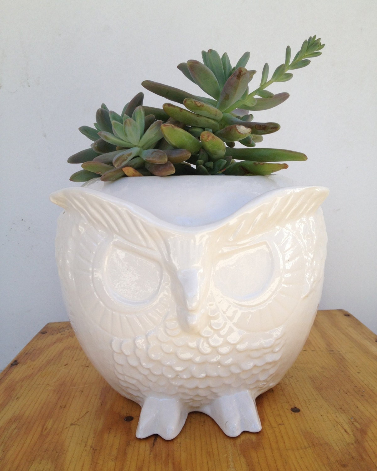Modern Owl Planter