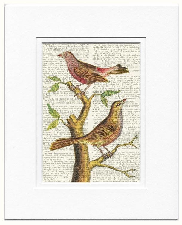 Birds - vintage birds III printed on page from old dictionary