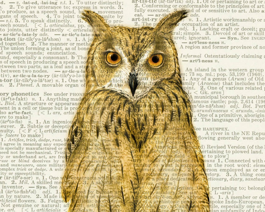 owl - vintage Hawk Owl artwork printed on page from old dictionary