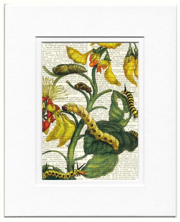 caterpillars and flowers II - printed on old page from vintage dictionary
