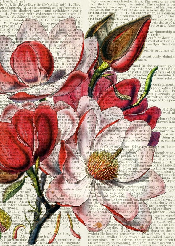 vintage magnolia artwork printed on page from old dictionary