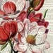 vintage magnolia artwork printed on page from old dictionary