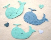 25 Baby Shower Whale Favors - Plantable Flower Seed Paper