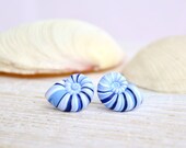 Post earrings - navy blue shells - everyday women jewerly - gift idea - beach jewelry