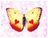 Love On The Wing blank butterfly valentine card