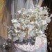 SALE -Fabulous Large Cascading 1940s, 1950s Wax Flower Wedding, Bridal Bouquet, a Keepsake Heirloom