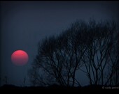 Mist - 4x6 inches Fine Art Photograph - Original Signed Photo Print - a sunset