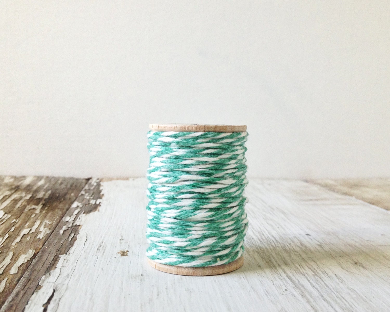 Premium Baker's Twine - 20yds - striped Mint green