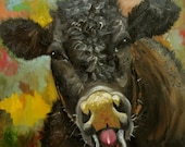 Cow painting 571 20x20 inch animal original oil painting by Roz