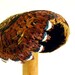 Vintage Pheasant Feather Cocktail Hat, Brown Iridescent Rust Natural Feathers