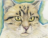 Tabby Cat Original Pencil Drawing Painting Pet Art-Carla Smale