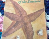40s Seashell Book