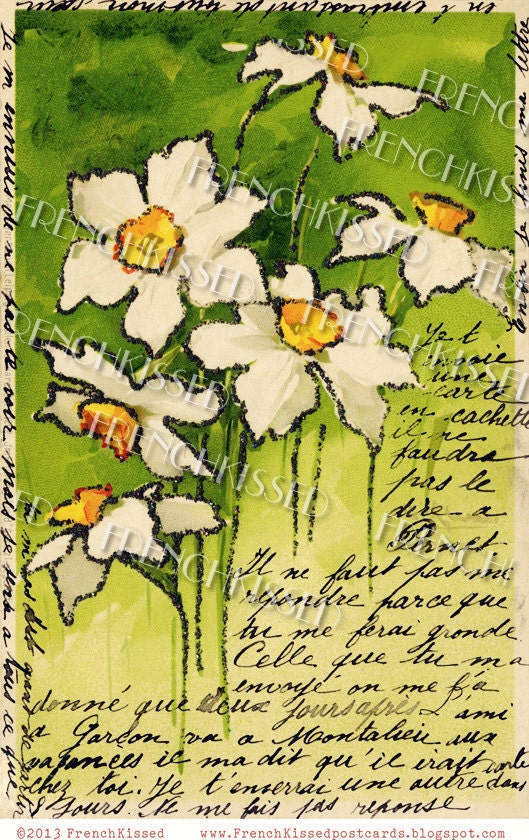 Instant Download DAFFODILS white yellow flowers French SCRIPT antique postcard DIGITAL Scan