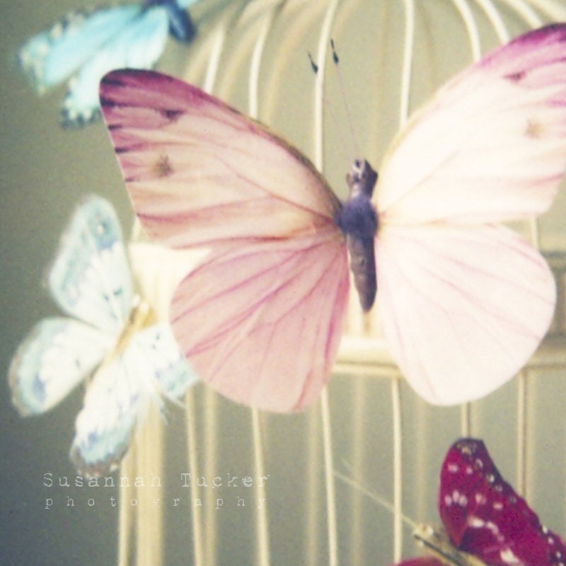 Today Would be a Lovely Day to be a Butterfly - 8x8 whimsical Photograph, nursery, pastel, girls room, room decor, pink, blue, for her