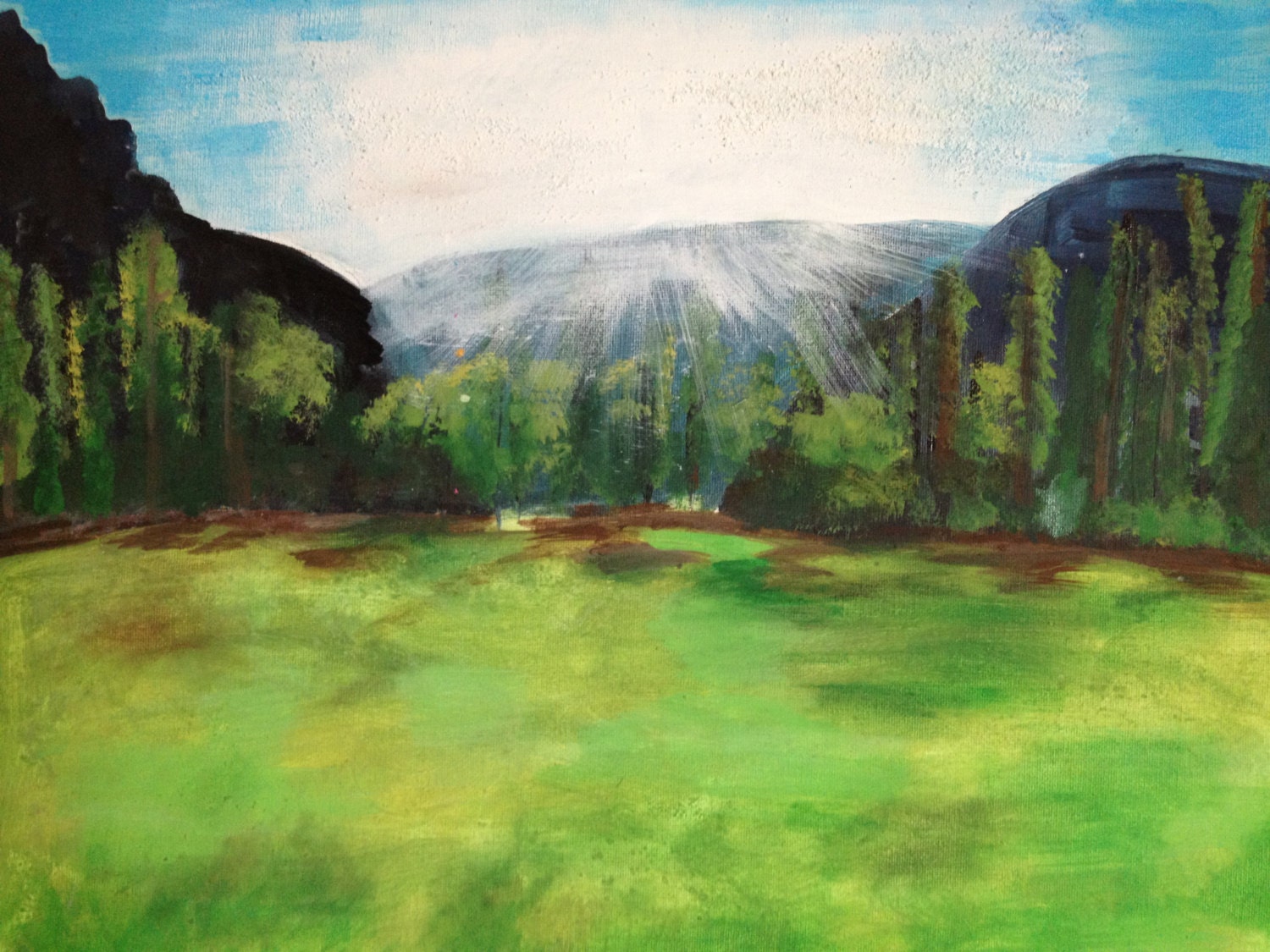 Sunset in meadow