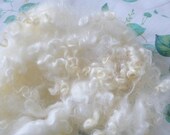 Rare Leicester Longwool curls from Gourmet Felted
