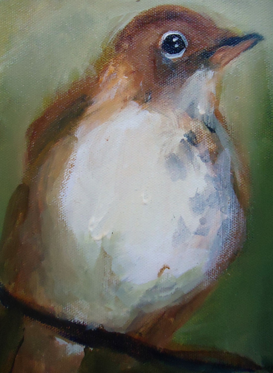 Stoic- Painting of the Veery Bird