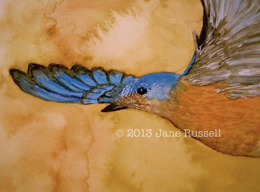 Bluebird of Happiness Original watercolor painting