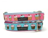 1" dog collar Hello Cupcake buckle or martingale dog collar
