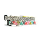 3/8" dog collar Phoenix tiny dog or cat buckle collar