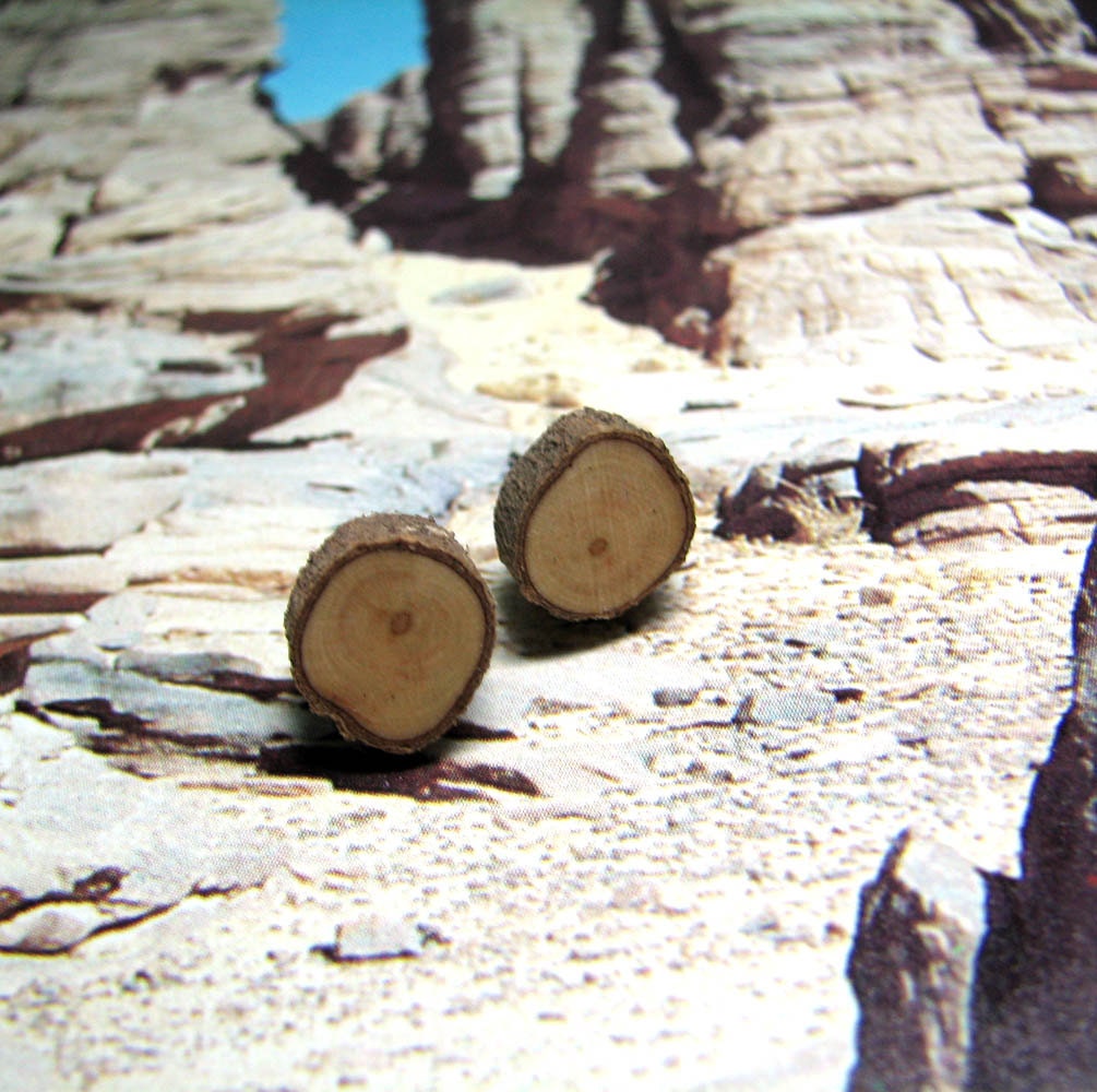MINIATURE Rustic Holly Twig Wooden Stud Earrings by Tanja Sova