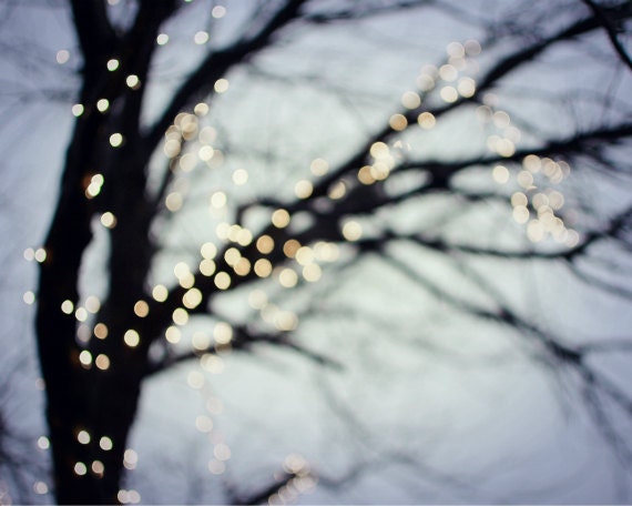 Winter tree - Fine Art Photography print - pale indigo blue - tree photograph - night sky - magical gold sparkle lights 8x10 - Twinkle