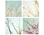Photography Set  SALE - four 5x5 prints -  tree branches winter spring summer fall nursery room pale blue pastel wall art - Four seasons