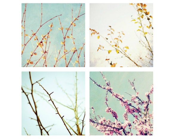 Photography Set  SALE - four 5x5 prints -  tree branches winter spring summer fall nursery room pale blue pastel wall art - Four seasons