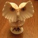WHO Sells Sea Shells By The Sea Shore  This Funky Sea Shell Owl That's Who