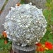 Custom brooch bouquet reserved for Fernanda