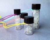 bottle of wishes