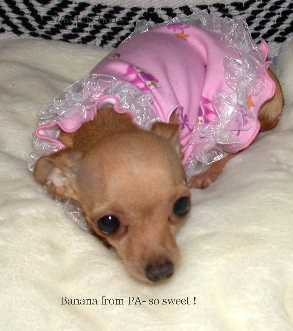 Pet Clothing Nightie Pink Butterflies with Ruffles To Order in Style Shown