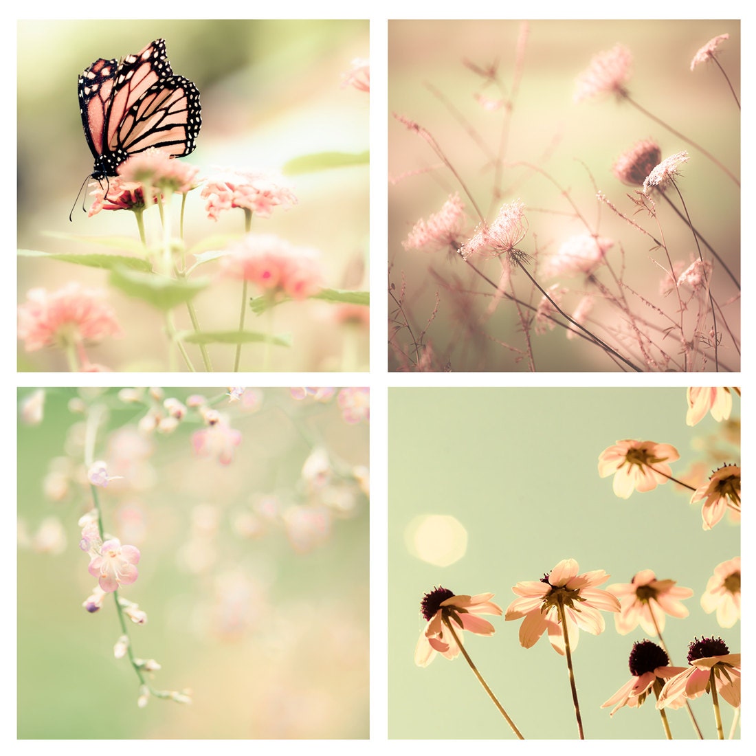 SALE - Home decor, Spring photography, fresh mint green, pale pink, pastel, nautre, flowers, spring decorating, spearmint, honeysuckle