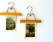Vintage Wood Hanger Clamp with Botanical Tree Plate Print - Instant Wall Art