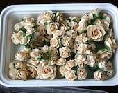 70 Beautiful shabby chic CREAM colored mulberry paper flowers and roses plus reusable plastic case