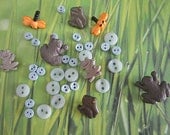 Dress it Up Buttons -At the Pond - Frogs - Dragonflies - Baby Blue